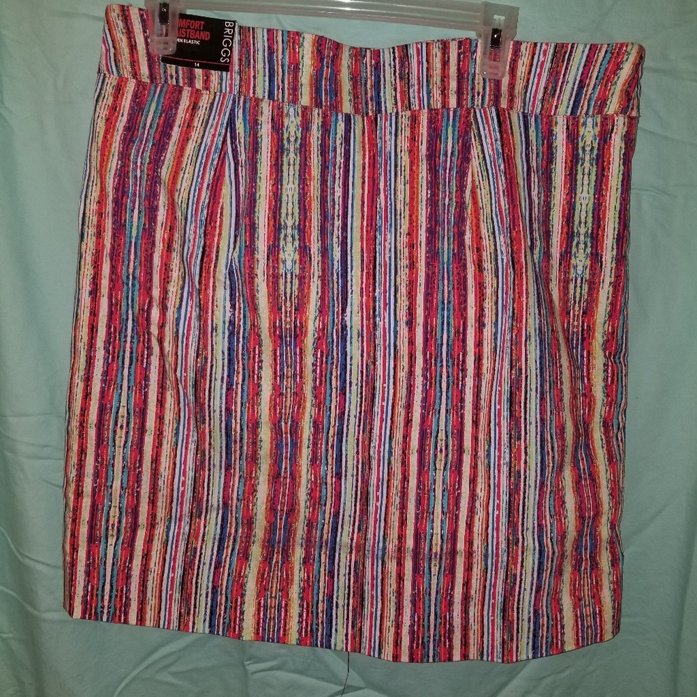 Briggs Multicolor Skort
